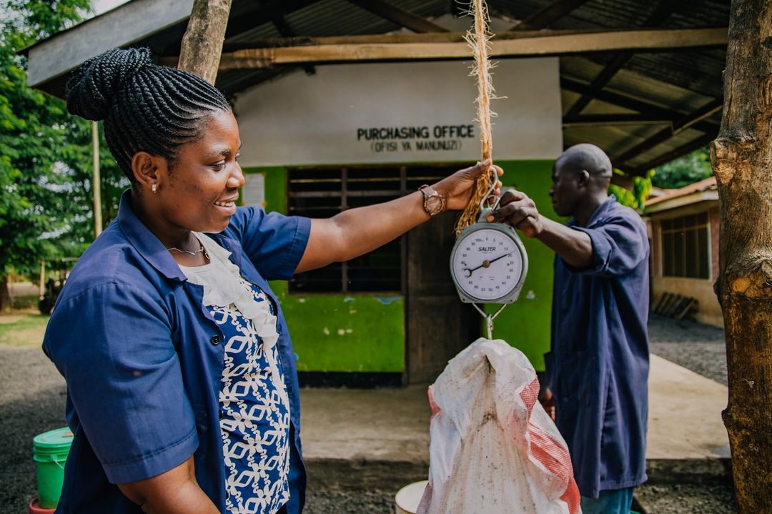 70% Kokoa Kamili, Tanzania – Mellow Chocolate